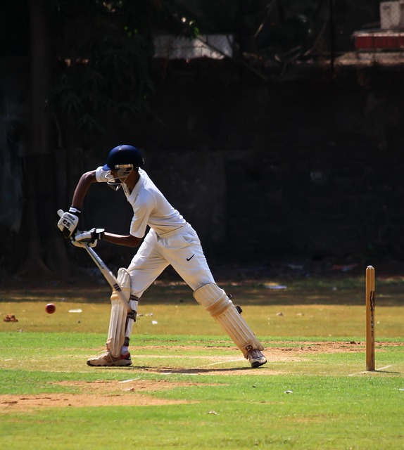 The Economic Impact of IPL on Cricketing Groundskeeping Technology Development