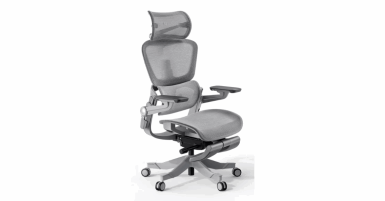 Comprehensive Hinomi Review: A Deep Dive into Ergonomic Comfort