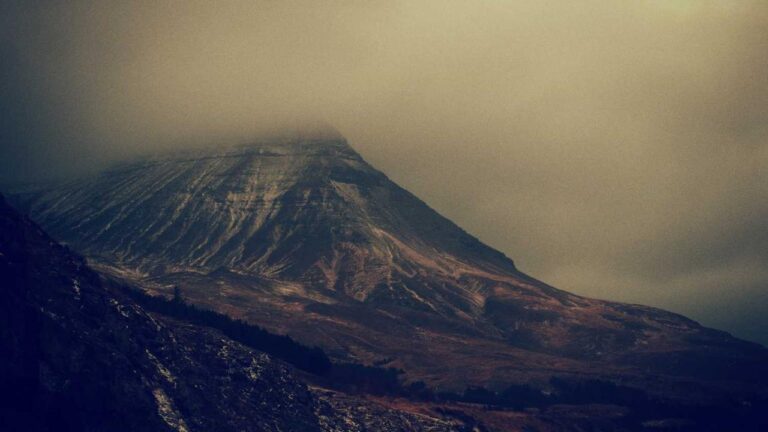 How To Use The 99Exch Com M Home Dashboard?