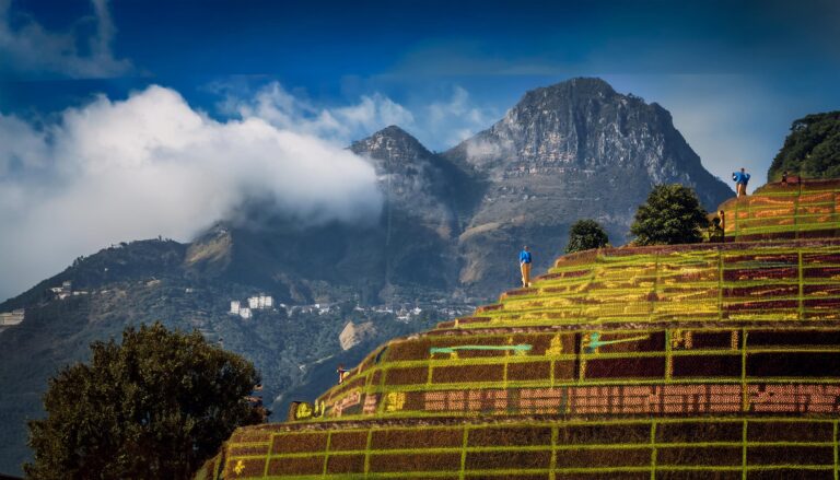 Laserbook247 Online – Bet Anytime, Anywhere with Ease