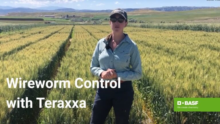 Laser 247 – In‑Depth Review of India’s Premier Laser Service Platform and How to Access It